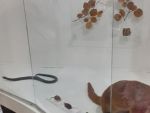 20220523_095723.jpg