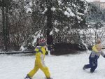 20230117_101303.jpg