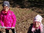 IMG_20230412_102528.jpg