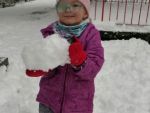 IMG_20231128_100946.jpg