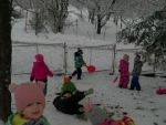 IMG_20231201_102233.jpg