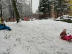 IMG_20231201_103350.jpg