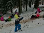 IMG_20231201_103409.jpg