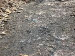 IMG_2191.jpeg