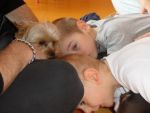SAM_0579.jpg