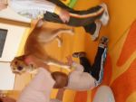 SAM_0584.jpg