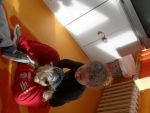 SAM_0594.jpg