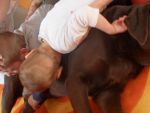 SAM_0600.jpg