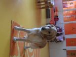 SAM_0618.jpg