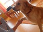 SAM_0623.jpg
