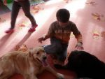 SAM_0655.jpg