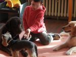 SAM_0718.jpg