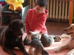 SAM_0719.jpg