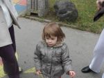 SAM_0965.jpg