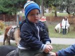 SAM_0966.jpg