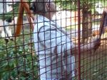 DSC00169.jpg