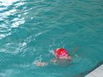 DSC_0146.jpg