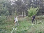20140916_085012.jpg