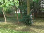 20140916_130221.jpg