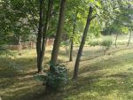 20140916_130237.jpg
