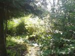 20140917_112419.jpg