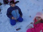 DSC03203.jpg
