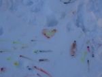 DSC03208.jpg