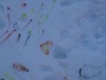 DSC03209.jpg