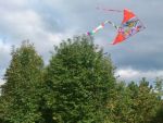 DSC_0147.jpg