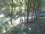 20150921_091533.jpg