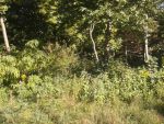 20150921_091718.jpg
