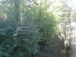 20150921_093616.jpg