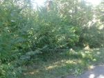 20150921_093636.jpg