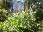 20150921_113248.jpg