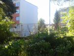 20150921_113253.jpg