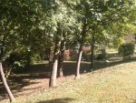 20150922_142852.jpg
