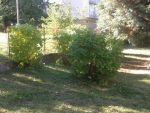 20150922_150830.jpg