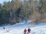 P1050201.jpg