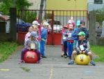 P1050445.jpg