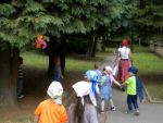 DSCN7649.jpg
