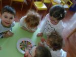 IMG_20170124_091801.jpg