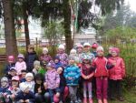 IMG_20170503_102933.jpg