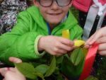 IMG_20170503_102219.jpg