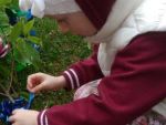 IMG_20170503_102319.jpg