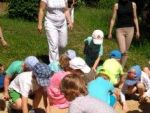 IMG_20170601_105243.jpg