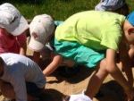 IMG_20170601_105306.jpg