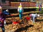 IMG_20171009_102521.jpg