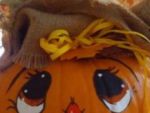 IMG_20171016_134647.jpg