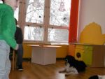 P1000106.jpg