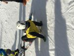 IMG_5729.jpg